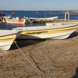 Hinojo Grande, sin dudas, es un ámbito para tener en cuenta. Mucho pique en una laguna para divertirse.