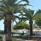 Pampita en microbikini por las playas de Ibiza: “Recién llegada”
