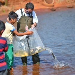 El pescador no estaba al tanto del proyecto, pero que al leer la información contenida en la marca no dudó en ponerse en contacto. 