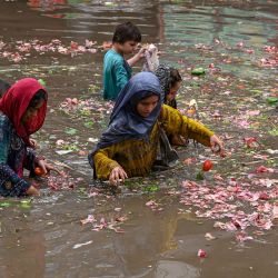 Unos niños recogen verduras del agua en un mercado inundado tras las fuertes lluvias caídas en Lahore, Pakistán. | Foto:ARIF ALI / AFP