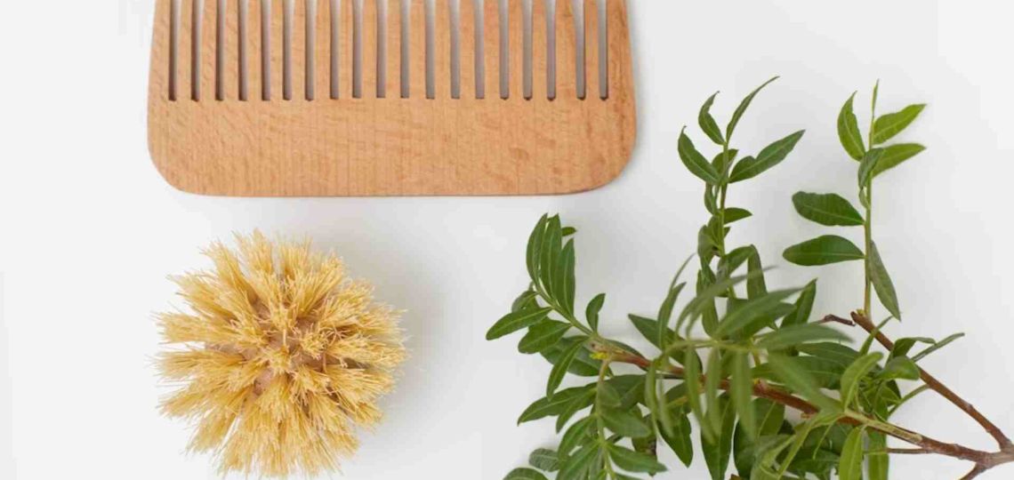 Cepillo de romero: cómo hacer esta herramienta que es furor en TikTok y que favorece el crecimiento del pelo