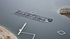 Pretenden impulsar la actividad en el país, ampliando el desarrollo que, hoy, se extiende a 14 provincias.