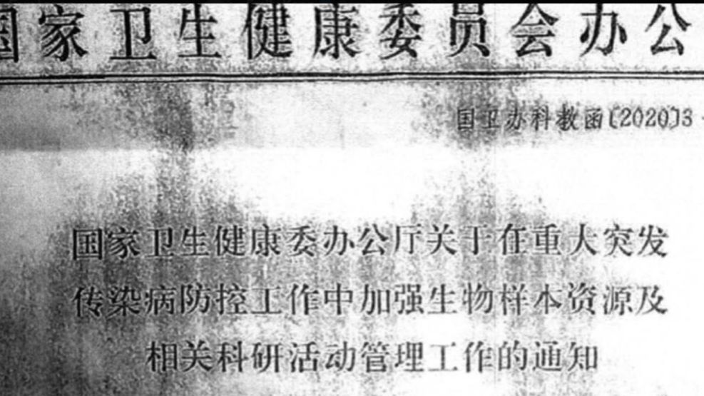 Documento secreto de Beijing 
