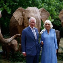 El rey Carlos III de Gran Bretaña y la reina Camilla asisten al Baile de los Animales en Lancaster House, Londres, con motivo del 20 aniversario de la organización benéfica Elephant Family, dedicada a la conservación de la vida salvaje. | Foto:HEATHCLIFF O'MALLEY / POOL / AFP