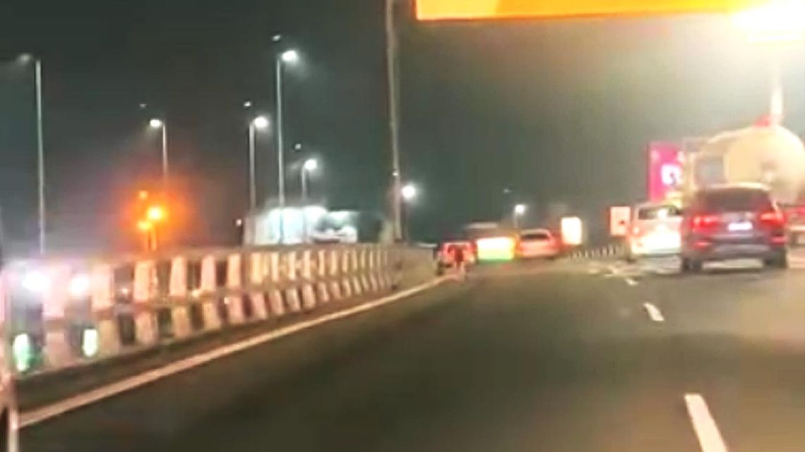 El héroe del Acceso Oeste: rescató un perro en la autopista y se hizo ...