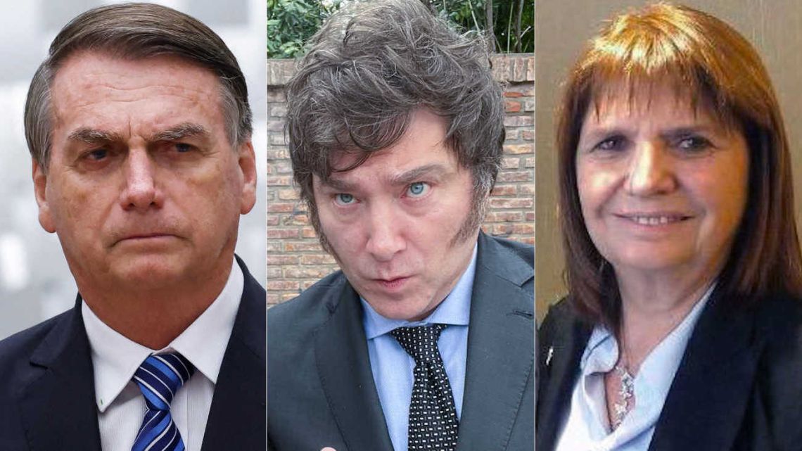 Milei Y Bullrich En El Espejo De Bolsonaro: Similitudes Y Diferencias ...