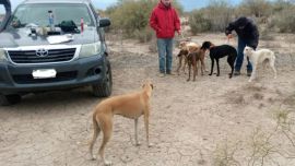 Los sospechosos circulaban a bordo de una camioneta.