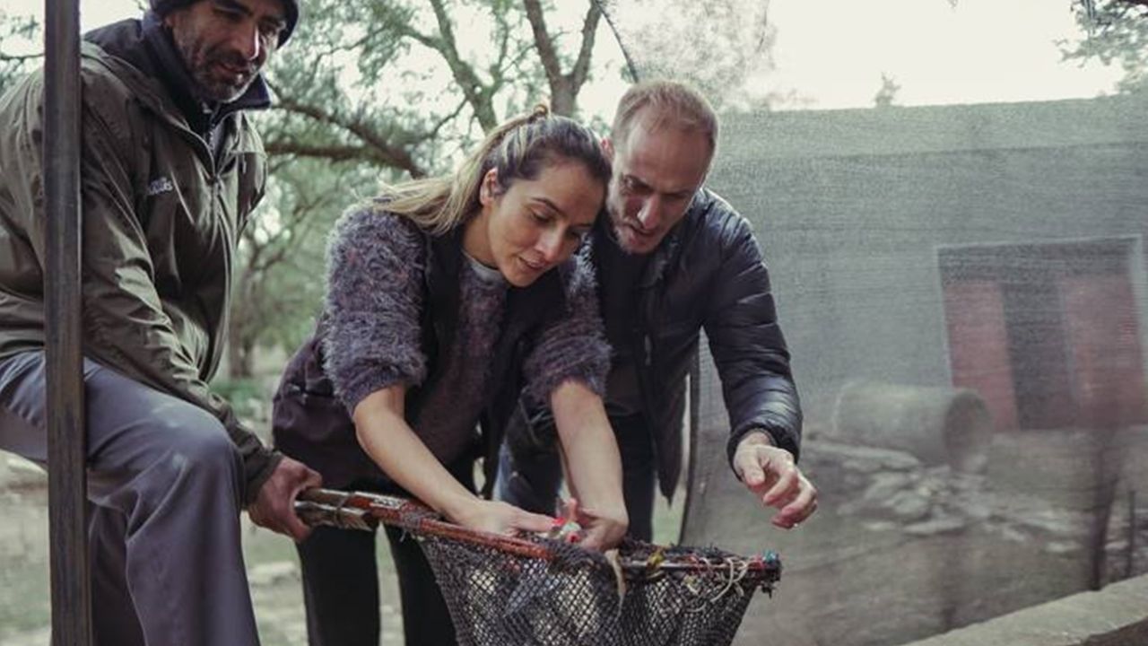 Work began to reproduce rainbow trout in San Luis