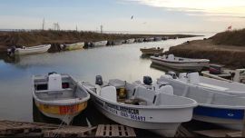 Por la falta de pesca, anunciaron el cierre a partir del próximo lunes de algunos pesqueros en la laguna.
