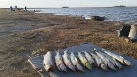 Aunque durante muchos años la pesca en esta laguna era de orilla, de un tiempo a la fecha, se permite la acción desde embarcaciones.