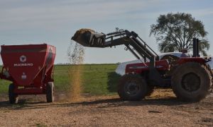 drought, argentina, stock, soybean, 