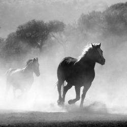 Las 5 cosas que deberías saber para dejar lo que te hace mal  | Foto:CEDOC