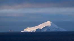 La biodiversidad de la península antártica, en disputa