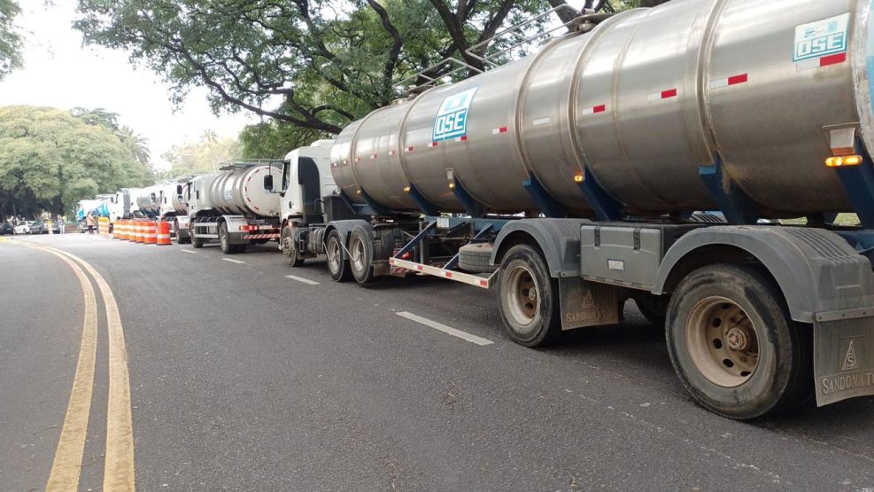 Esta es de la buena!": sacan agua de un pozo de un parque céntrico de  Montevideo para los hospitales | Perfil