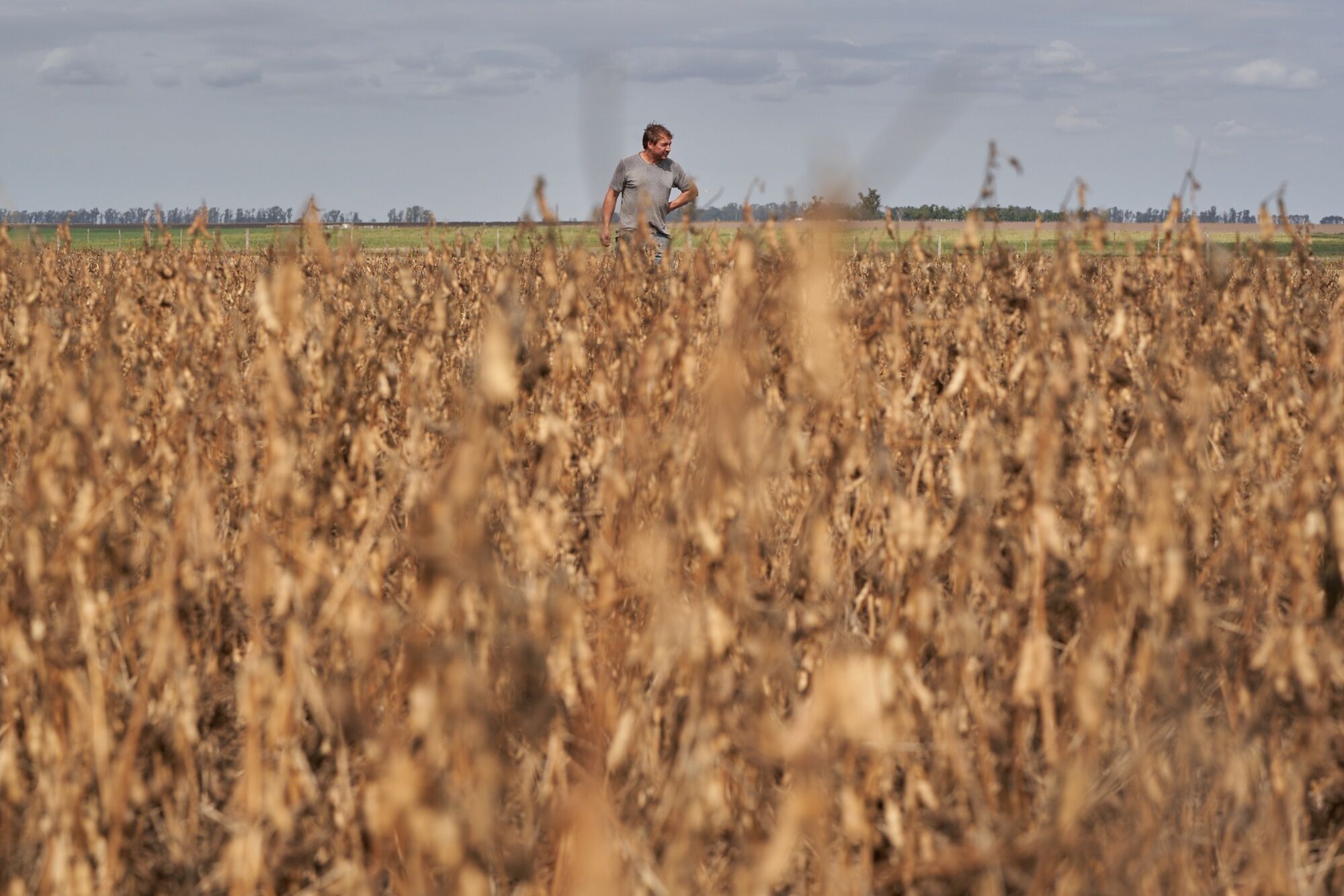 Argentina Soy Crop Forecast Slashed To Smallest On Record