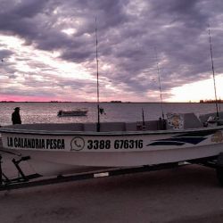 Tanto de orilla como embarcados, esta laguna del oeste bonaerense brinda muy buenas alternativas de pique. 