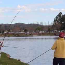 El lago de Tandil y las lagunas De los Padres como La Brava son grandes opciones pensando en las vacaciones. 