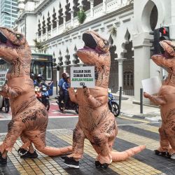 Activistas del grupo de defensa de los derechos de los animales Personas por el Trato Ético de los Animales (PETA) disfrazados de dinosaurios llevan carteles instando a la gente a hacerse vegana durante una protesta en Kuala Lumpur, Malasia. | Foto:Arif Kartono / AFP