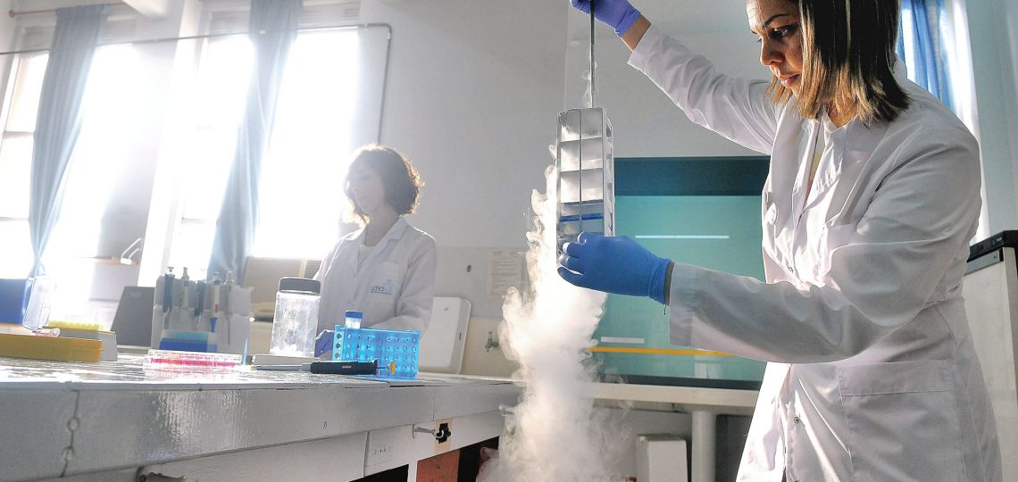 Conocé a las científicas argentinas que desarrollan piel sintética para no testear en animales