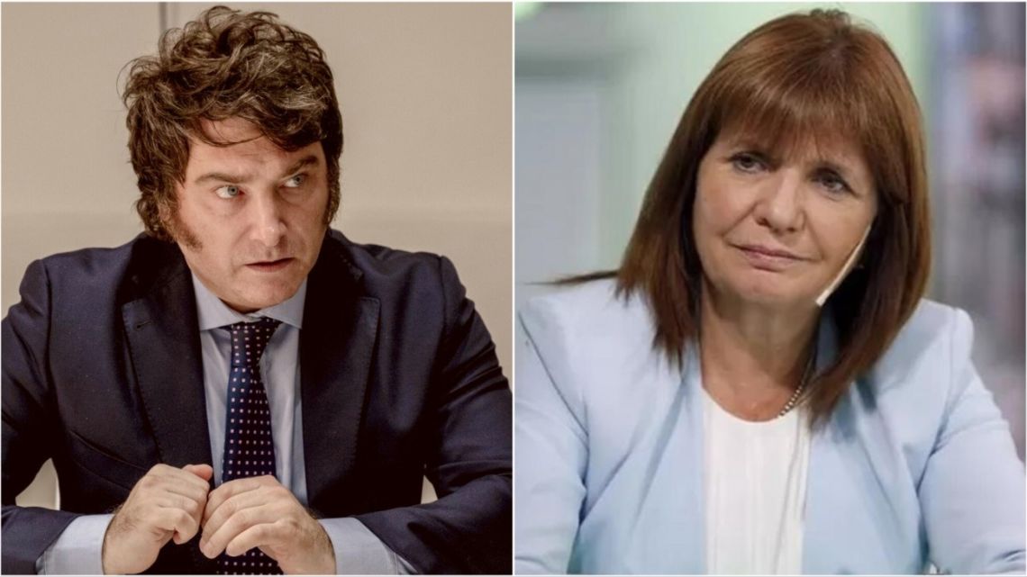 Los problemas de la derecha: cuáles son las preocupaciones de Patricia  Bullrich y Javier Milei | Canal E