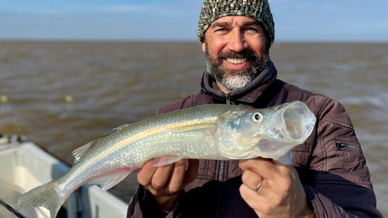 120 destinations to go in search of good pique