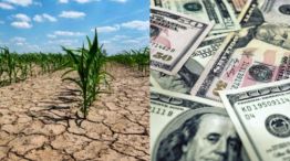 La sequía y la falta de dólares empiezan a golpear la actividad económica