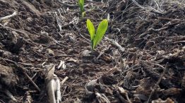 Suelos Agrícolas 20230707