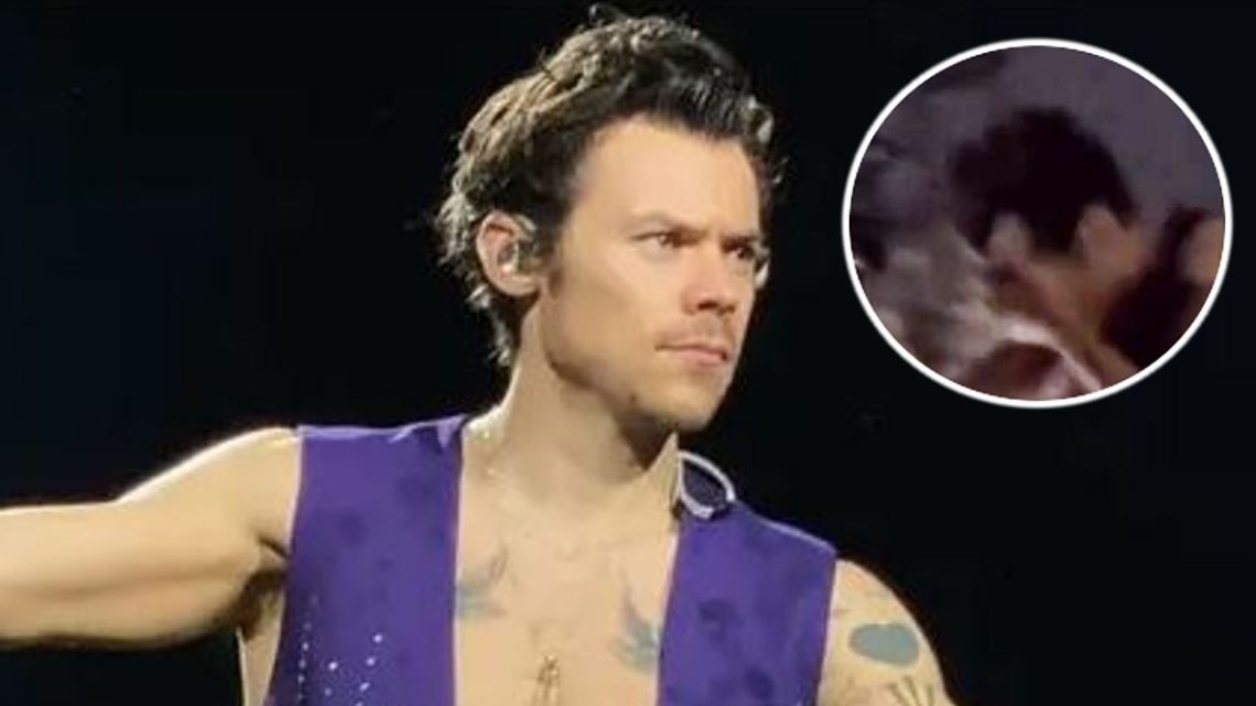 Harry Styles Fue Golpeado En Un Ojo Con Un Objeto Arrojado Desde El Público En Pleno Show Exitoina