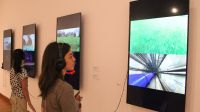 Muestra Bienalsur