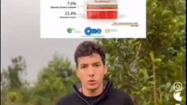 El costo de la Yerba Mate