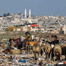 Recolectores de basura palestinos clasifican la basura en un basurero en la ciudad de Gaza. Foto de RONALDO SCHEMIDT / AFP | Foto:AFP