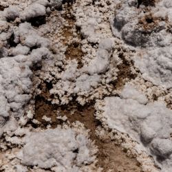 Salt crystals at the Tres Quebradas salt flat at Liex's 3Q lithium mine project near Fiambala, Catamarca Province, Argentina, on Sunday, December 5, 2021.