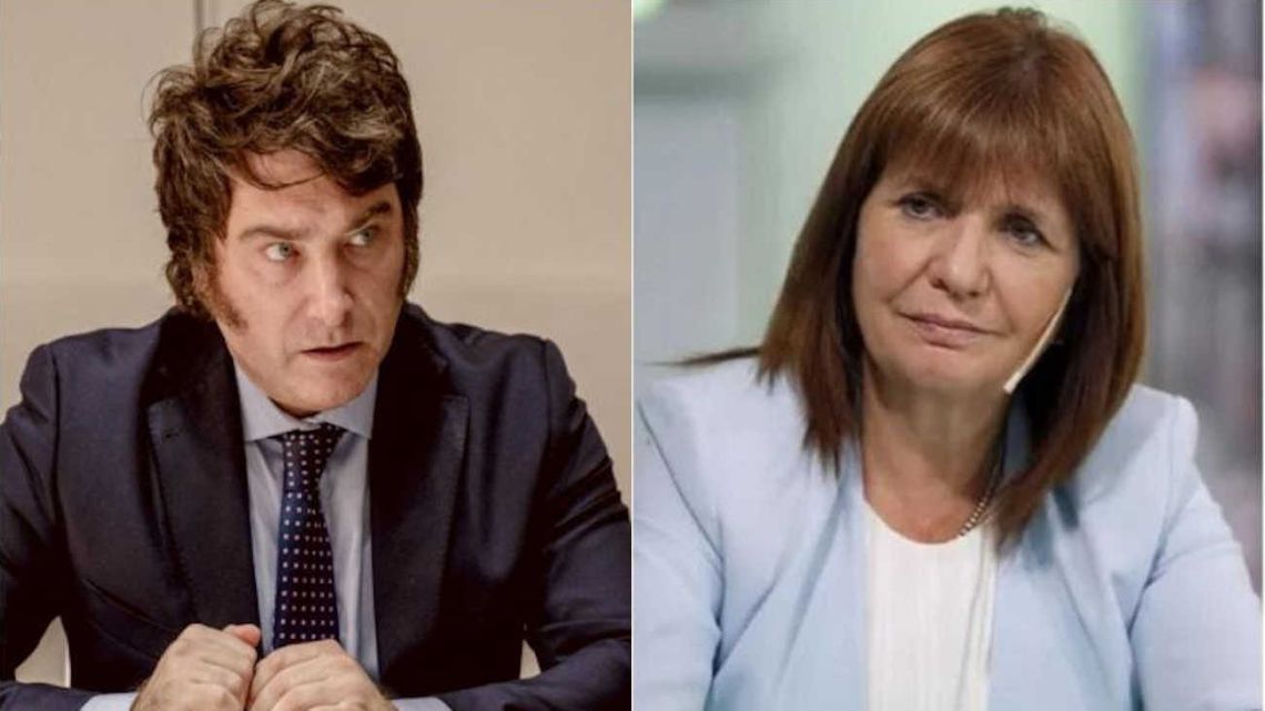 Milei Y Bullrich Cruzaron A Massa Por La Idea De Eliminar El PAMI | Perfil