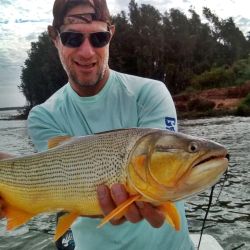 Toda la franja del Paraná Medio tiene buena presencia de dorados, en una temporada con mucha actividad.