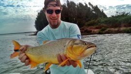 Toda la franja del Paraná Medio tiene buena presencia de dorados, en una temporada con mucha actividad.