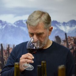 Grazie Mille, lanza Cabernet Franc, un vino de alta gama con 14 meses de barrica | Foto:CEDOC
