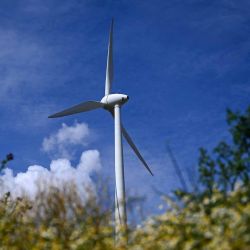 Una turbina eólica en el parque eólico de Werl cerca de Dortmund, en el oeste de Alemania. Foto Ina FASSBENDER / AFP | Foto:AFP