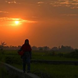 Una mujer camina por un campo de vegetales durante la puesta de sol en las afueras de Srinagar. Foto TAUSEEF MUSTAFA / AFP | Foto:AFP