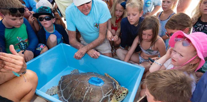 Richie Moretti observa cómo los niños observan de cerca a "Marcia", una tortuga marina verde juvenil. Liberada en los Cayos de Florida. Foto Andy Newman / AFP