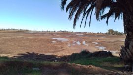 Un ámbito con excelentes instalaciones para disfrutar del aire libre. Falta lo más importante para el pescador, el agua.