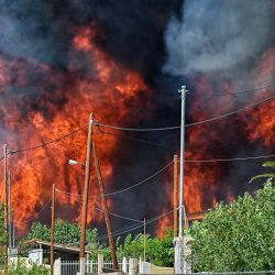 El incendio forestal se desata por las casas en el asentamiento de Irini, cerca de la ciudad turística de Loutraki. Foto Valerie GACHE / AFP | Foto:AFP