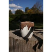 "El Arte de elegir el mate y sus encantadoras variedades"
