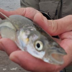 La Escondida, una laguna difícil de ubicar sin el permiso y la orientación de su dueño. 