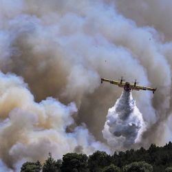 Un avión de extinción de incendios de Canadair rocía agua durante un incendio en Dervenochoria, al noroeste de Atenas. Foto Spyros BAKALIS / AFP  | Foto:AFP