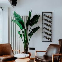 Decowine: Cavas con personalidad propia