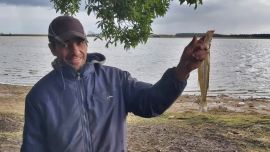 Tupungato, Sauce Grande, Los Manantiales, Cochicó e Hinojo Grande, las destacadas en este momento.