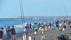 Múltiples alternativas para competir en un fin de semana a pura pesca deportiva.