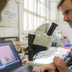 Trabajos en el laboratorio para precisar el origen y las trayectorias migratorias del salmón Chinook, entre otros peces. Foto: CONICET Fotografía/ Verónica Tello.