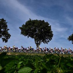 El grupo de ciclistas pedalea durante la carrera del Tour de Francia. Foto de Marco BERTORELLO / AFP  | Foto:AFP