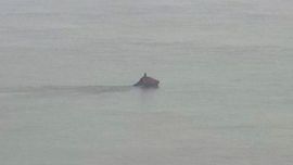 El animal luchaba contra la corriente para poder llegar a tierra firme.